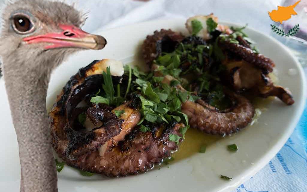 Δείγμα γραφής Κυπριακών παπαγαλίζοντων στρουθοκαμήλων.