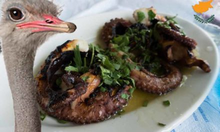 Δείγμα γραφής Κυπριακών παπαγαλίζοντων στρουθοκαμήλων.