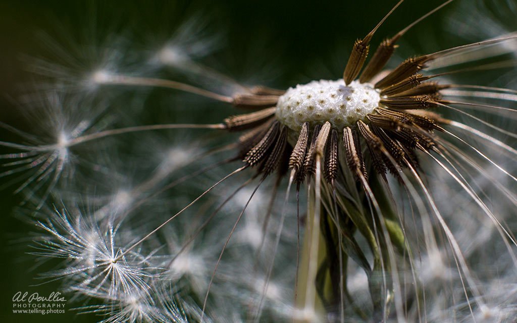 On “Right and Wrong”