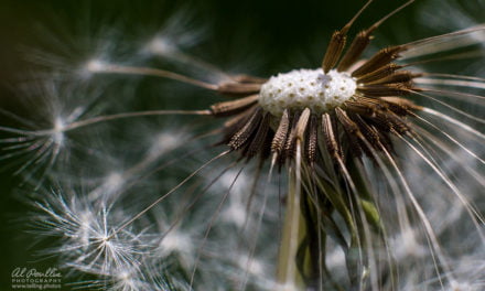 On “Right and Wrong”