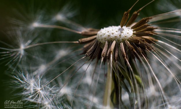 On “Right and Wrong”