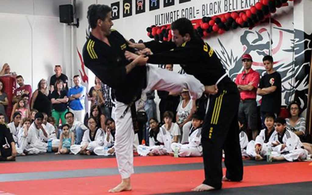 Koryo – Possible application