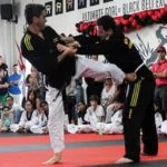 Koryo – Possible application