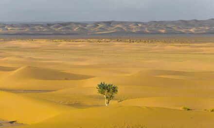 Protected: The Good Aspects