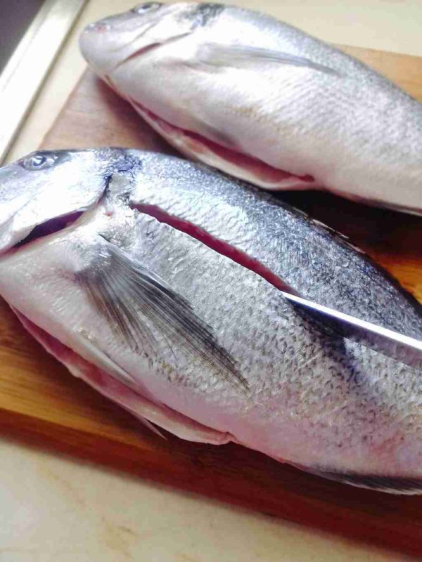 Sea bream tsipoura preparation